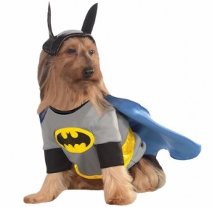 batman-dog-halloween-costume