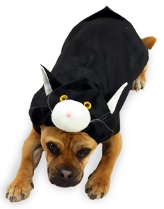 cat-dog-halloween-costume