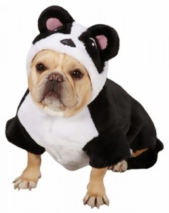 panda-halloween-costume