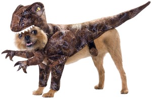 raptor-dog-halloween-costume